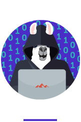 Illustration of llama dressed as hacker
